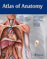 Atlas of Anatomy