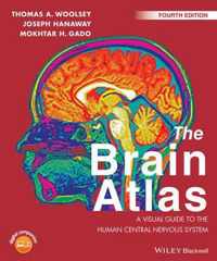 The Brain Atlas