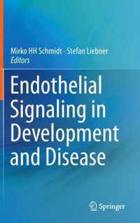 Endothelial Signaling in Development and Disease