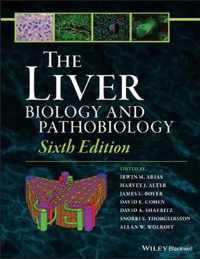 The Liver