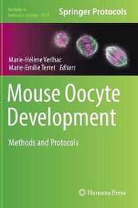 Mouse Oocyte Development