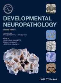 Developmental Neuropathology