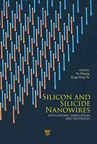 Silicon and Silicide Nanowires