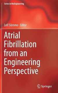 Atrial Fibrillation from an Engineering Perspective