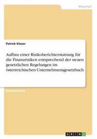 Aufbau einer Risikoberichterstattung fur die Finanzrisiken entsprechend der neuen gesetzlichen Regelungen im oesterreichischen Unternehmensgesetzbuch