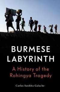 The Burmese Labyrinth