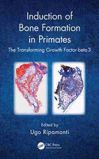 Induction of Bone Formation in Primates