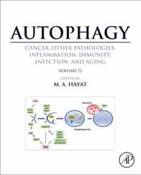 Autophagy: Cancer, Other Pathologies, Inflammation, Immunity, Infection, and Aging