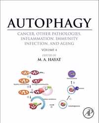 Autophagy: Cancer, Other Pathologies, Inflammation, Immunity, Infection, and Aging