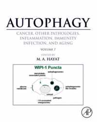 Autophagy: Cancer, Other Pathologies, Inflammation, Immunity, Infection, and Aging