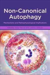 Non-Canonical Autophagy