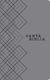 Santa Biblia NTV, Edicion agape (SentiPiel, Gris),