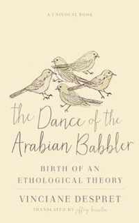 The Dance of the Arabian Babbler