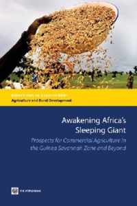 Awakening Africa'S Sleeping Giant