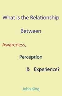 What is the Relationship Between Awareness, Perception & Experience?