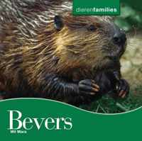 Dierenfamilies  -   Bevers