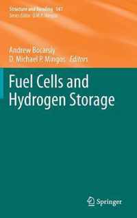 Fuel Cells and Hydrogen Storage