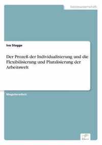 Der Prozess der Individualisierung und die Flexibilisierung und Pluralisierung der Arbeitswelt