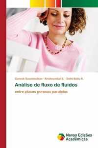 Analise de fluxo de fluidos