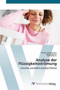 Analyse der Flussigkeitsstroemung