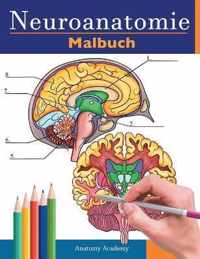 Neuroanatomie Malbuch