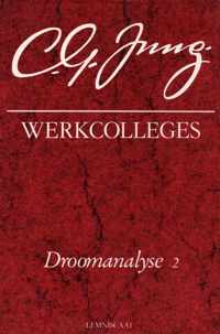 Werkcolleges 4. droomanalyse 2