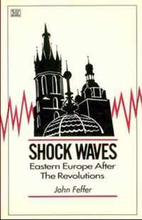 Shock Waves