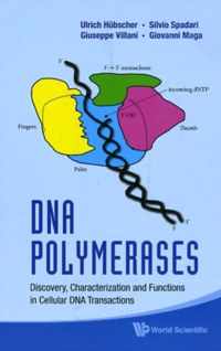 Dna Polymerases