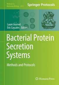 Bacterial Protein Secretion Systems