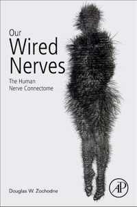 Our Wired Nerves