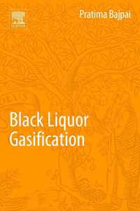 Black Liquor Gasification