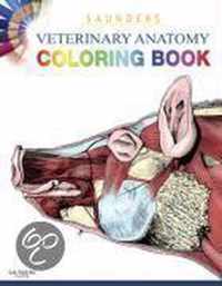 Saunders Veterinary Anatomy Coloring Book