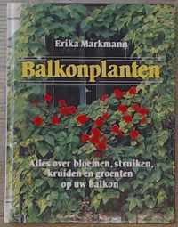 Balkonplanten