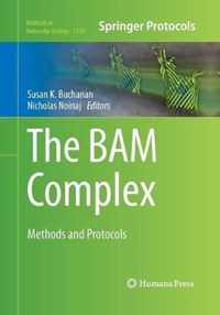 The BAM Complex