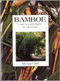 Bamboe