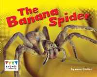 Banana Spider