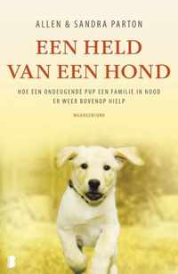 Held van een hond