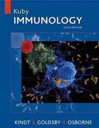 Kuby Immunology