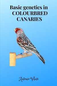 Basic genetics in COLOURBRED CANARIES