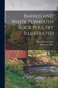 Barred and White Plymouth Rock Poultry Illustrated