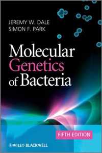 Molecular Genetics Of Bacteria