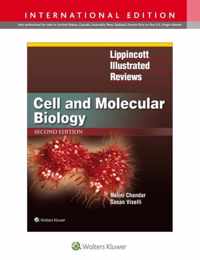 LIR CELL MOLECULAR BIOLOG 2E (INT ED) PB