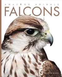 Falcons