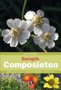 Basisgids 5 -   Basisgids composieten