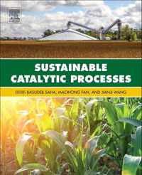 Sustainable Catalytic Processes