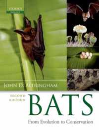 Bats From Evolution To Conservation