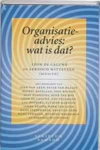 Organisatieadvies: wat is dat?