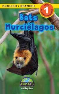 Bats / Murcielagos