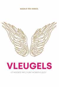 Vleugels - Baukje ten Herkel - Paperback (9789464434613)