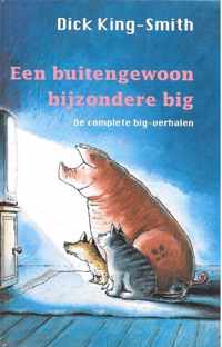 Een Buitengewoon Bijzondere Big